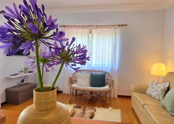 Prázdninový dům Casa Do Avo Manuel